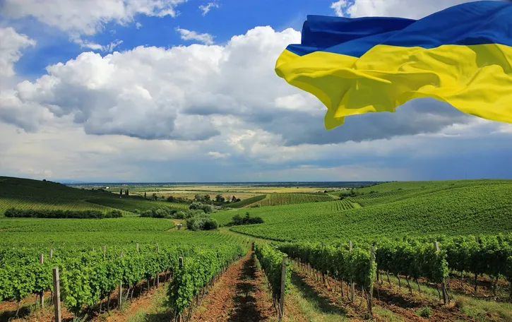 A photo from Wines of Ukraine, showing a big Ukrainian flag 🇺🇦, flying over a lush green landscape with rows of vineyards.