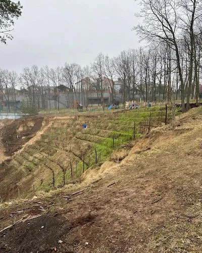 Photo of newly planted vineyards at BIOLOGIST Winery.